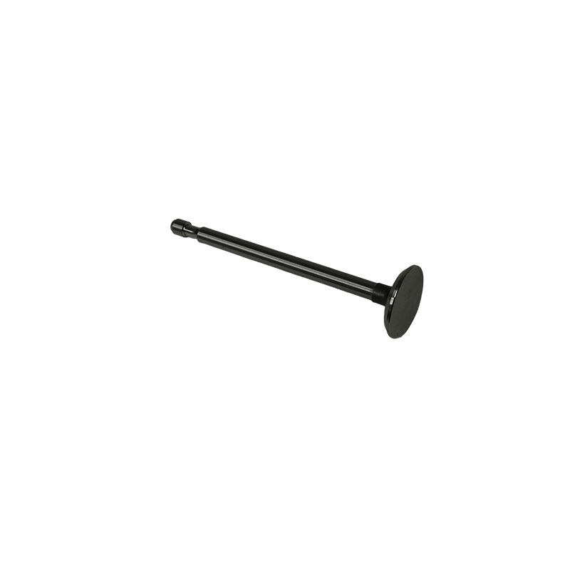 211119S EXHAUST VALVE