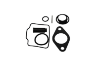 KIT-CARBURETOR OVERHAUL ANIMAL