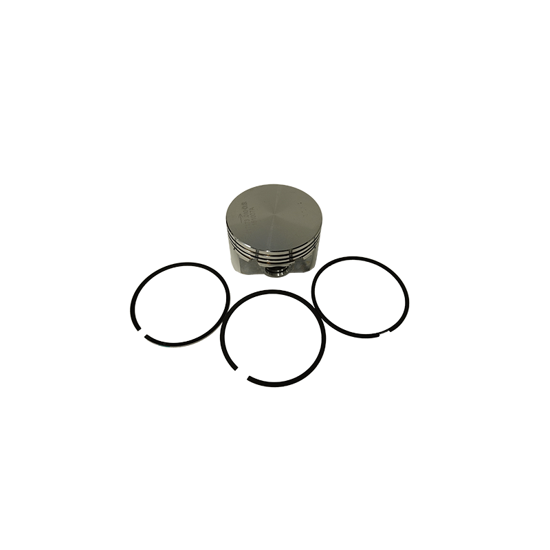 .010 PISTON ASSY ANIMAL