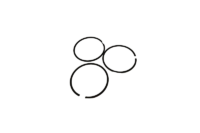 .010 RING SET ANIMAL