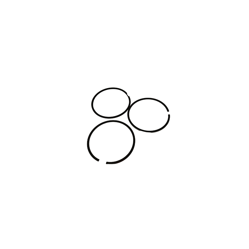 .010 RING SET ANIMAL