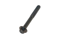 SCREW - ANIMAL(CYLINDER HEAD)