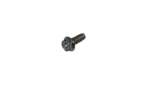 SCREW - ANIMAL (CYLINDER SHIELD)