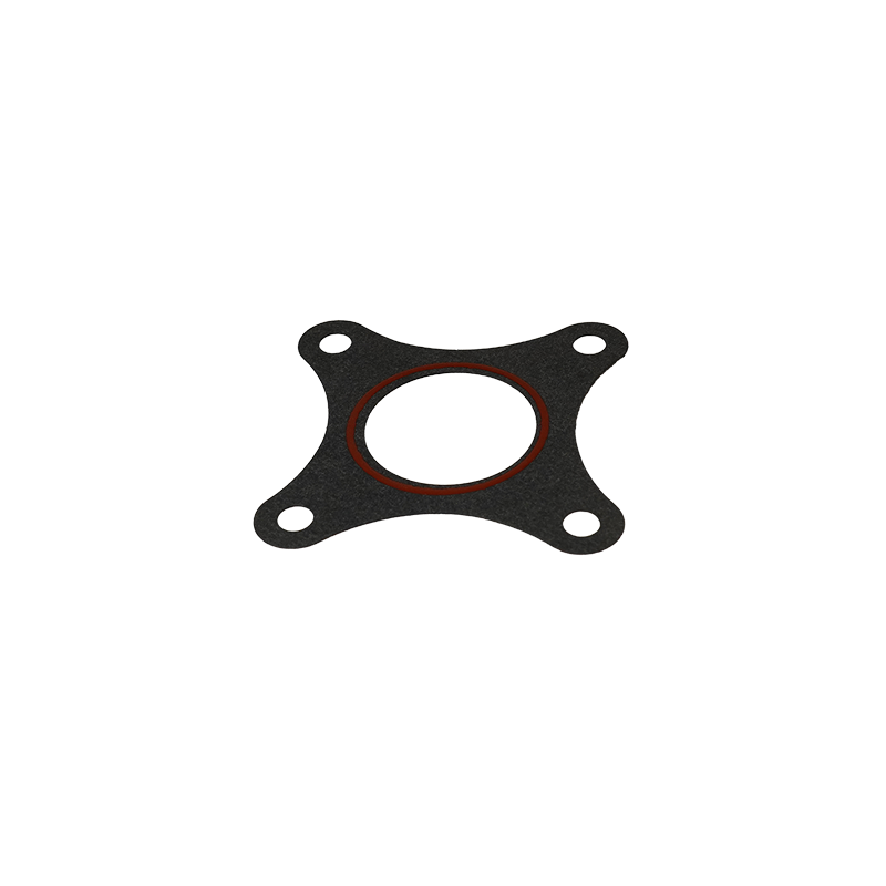 GASKET-GEAR CASE