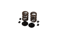 ANIMAL SHORT DUAL SPRING KIT (32lbs)
