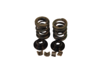 CLONE DUAL SPRING KIT