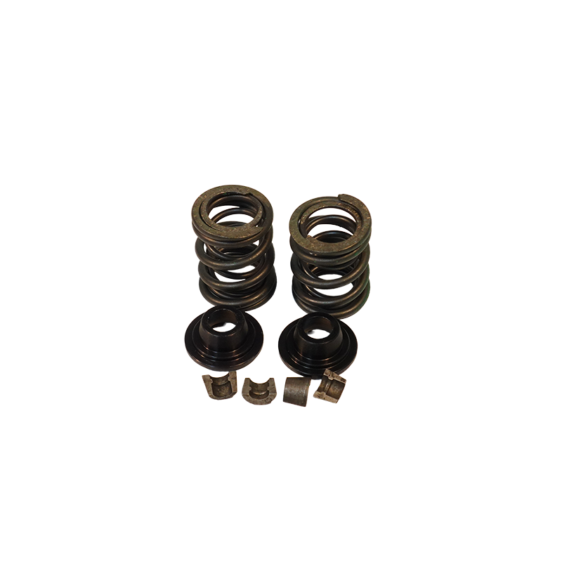 CLONE DUAL SPRING KIT