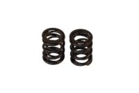DUAL SPRING SET ONLY - NO HARDWARE