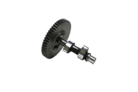 .255 LIFT ANIMAL CAM