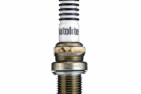 ANIMAL SPARK PLUG - HOT