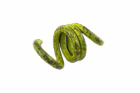 YELLOW STINGER SPRINGS