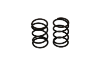 STOCK VALVE SPRINGS (PAIR)