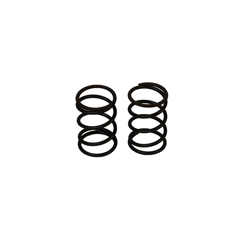 STOCK VALVE SPRINGS (PAIR)