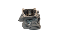 BLUE PRINTED CLONE CYLINDER HEAD ASSEMBLY - AKRA LEGAL