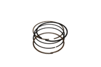 PREDATOR RING SET - STD