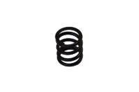 INTAKE VALVE SPRING-BLUE