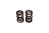 DUAL SPRING .380" LIFT BRIGGS PAIR