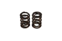 JR DRAGSTER TO .550 LIFT DUAL VALVE SPRINGS