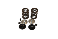 PRECISION DUAL VALVE SPRINGS