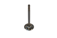 BIG INTAKE VALVE ANIMAL 125-9-2