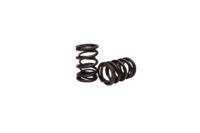 JR DRAGSTER VALVE SPRINGS GX390