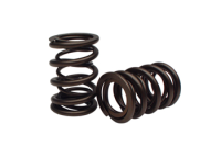 DUAL SPRING .450" LIFT BRIGGS PAIR
