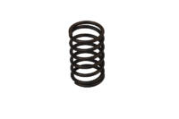 VALVE SPRING, DUCAR 212