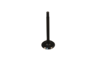 INTAKE VALVE, DUCAR 212