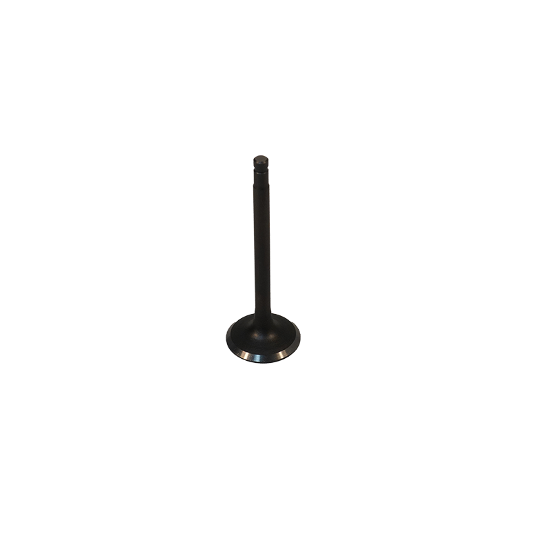 INTAKE VALVE, DUCAR 212