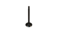 EXHAUST VALVE, DUCAR 212