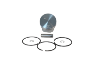 Burris Animal Pistons