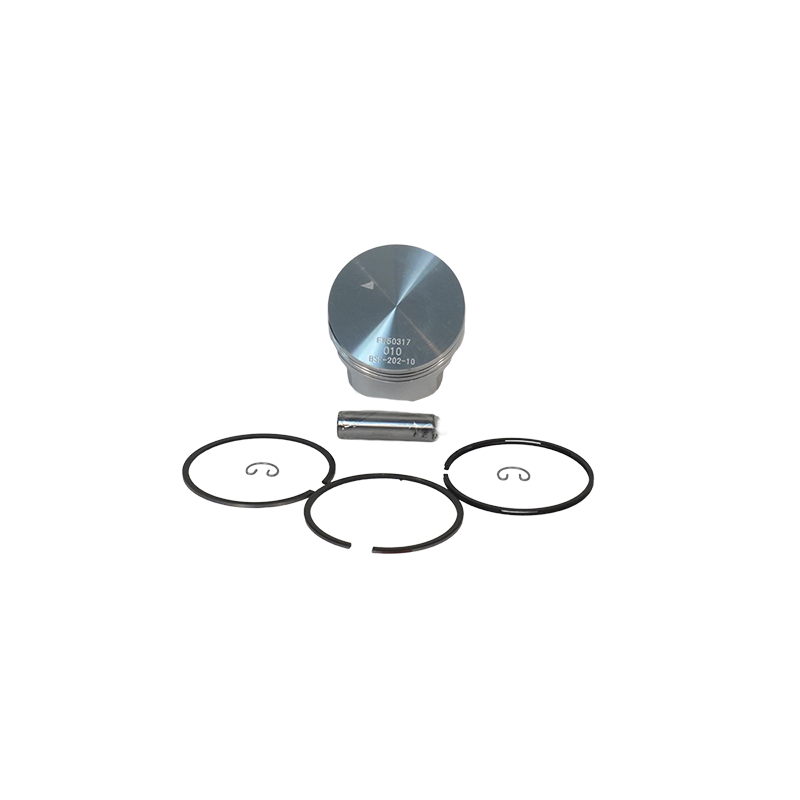 .002 ANIMALBURRIS  PISTON KIT W/ RING, PIN, AND CLIPS